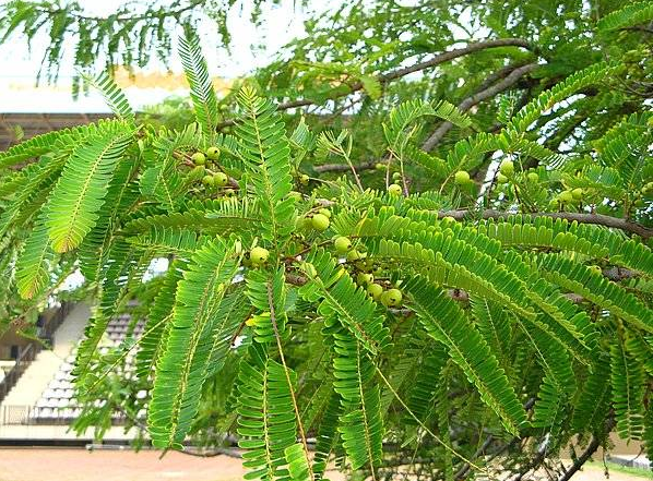 QQ图片20160820142150